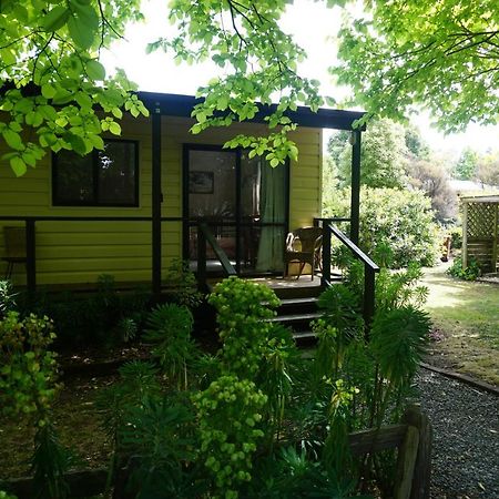 Ivy'S Cottage غريتاون المظهر الخارجي الصورة